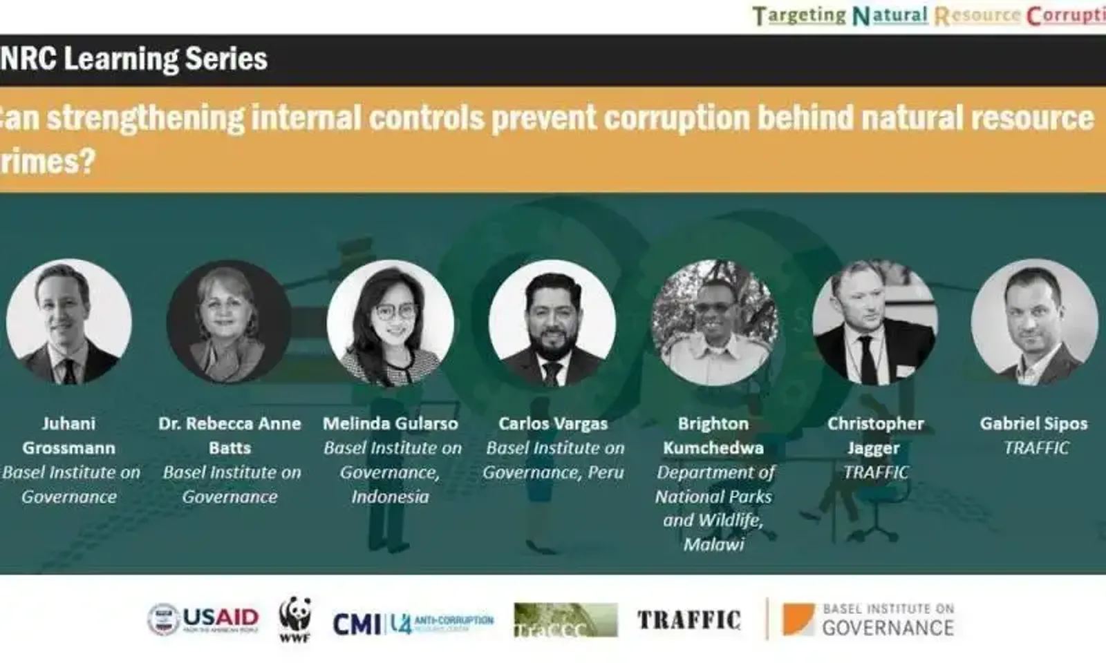 Can strengthening internal controls prevent corruption behind natural resource crimes?