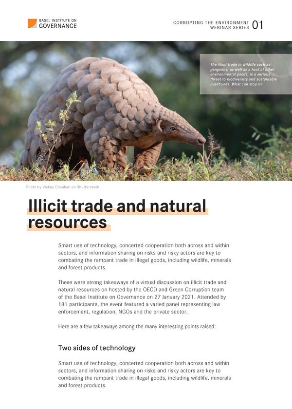 Corrupting the Environment: insights on corruption, the environment and illicit trade