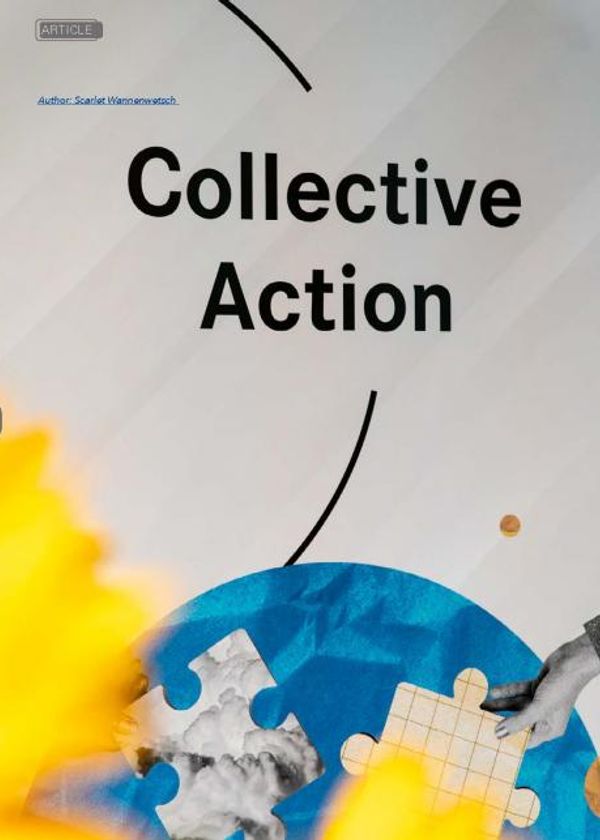 InMagazine: Collective Action Conference and Mentoring Programme