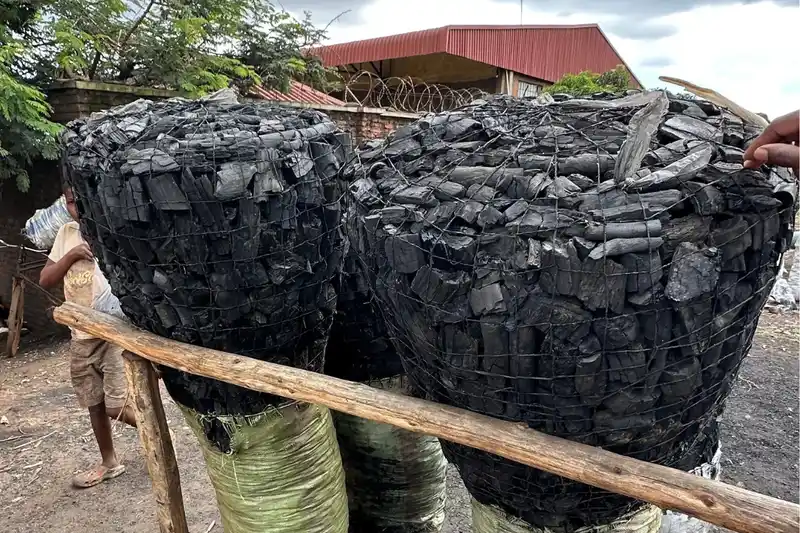 Advancing Malawi’s efforts against corruption and environmental crime