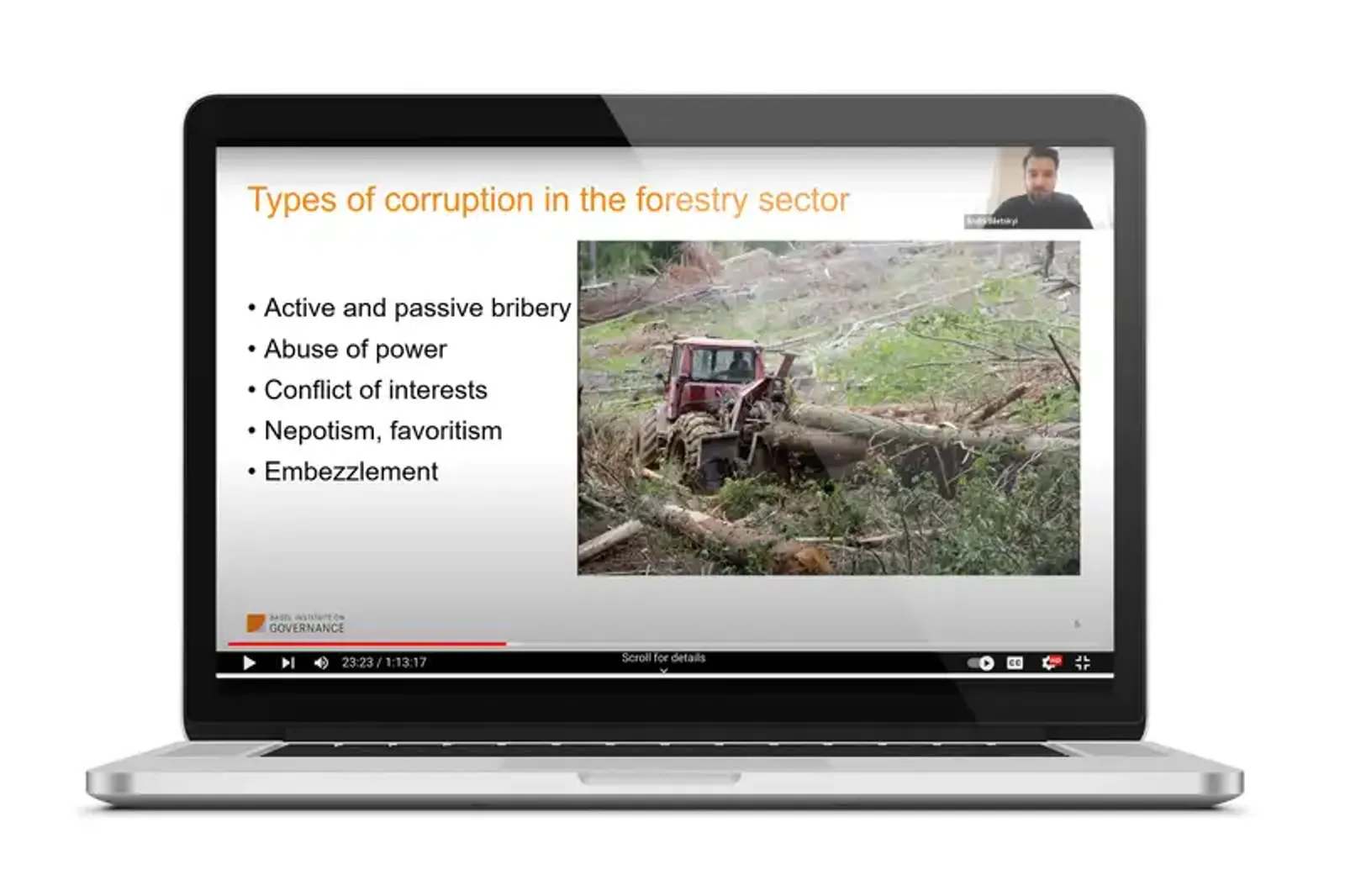 How corruption threatens the forests of Ukraine: launch of Environmental Corruption Deep Dive report