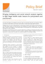 Policy Brief 6: Bringing intelligence and social network analysis together to fight illegal wildlife trade