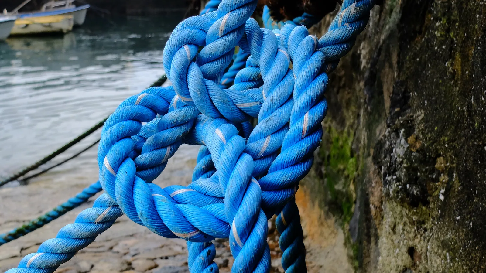 Untangling the complex puzzle of corruption, tax crime and organised crime