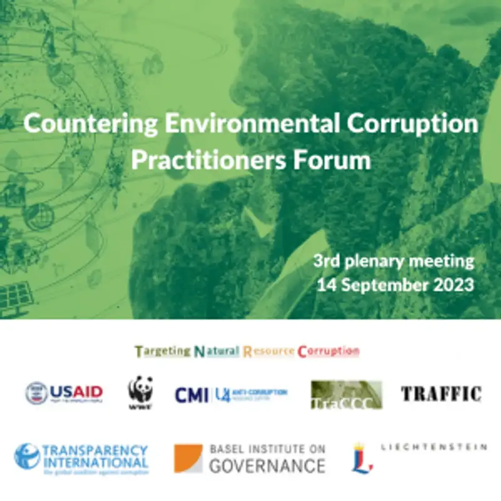 Countering Environmental Corruption Practitioners Forum – 3rd plenary meeting