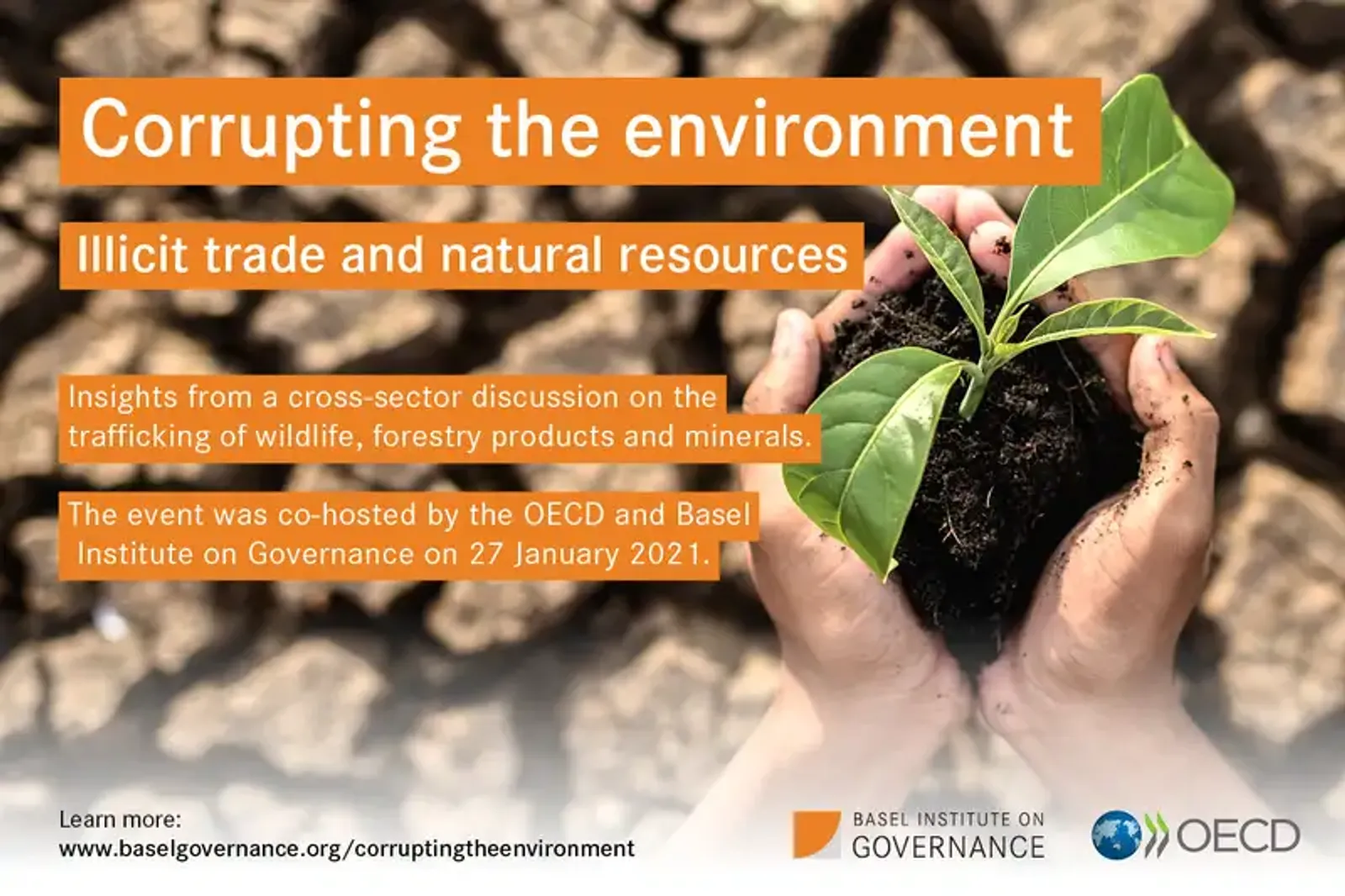 Illicit trade in natural resources – a Corrupting the Environment event