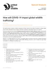 Special analysis: How will COVID-19 impact global wildlife trafficking?