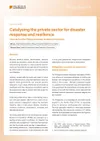 Policy Brief 13: Catalysing the private sector for disaster response and resilience – Case study of the Philippine Disaster Resilience Foundation
