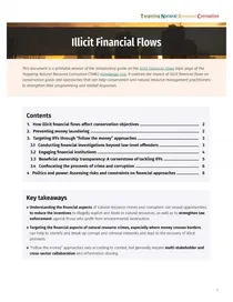 Illicit financial flows and natural resource corruption - a TNRC guide