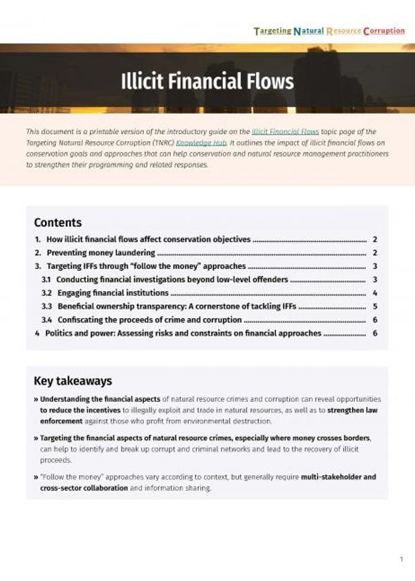 Illicit financial flows and natural resource corruption - a TNRC guide