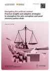 Working Paper 52: Navigating the political context: Practice insights and adaptive strategies to strengthen the anti-corruption and asset recovery justice chain