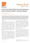 Policy Brief 3: Social norms, mental models and other behavioural drivers of petty corruption – the case of Rwanda