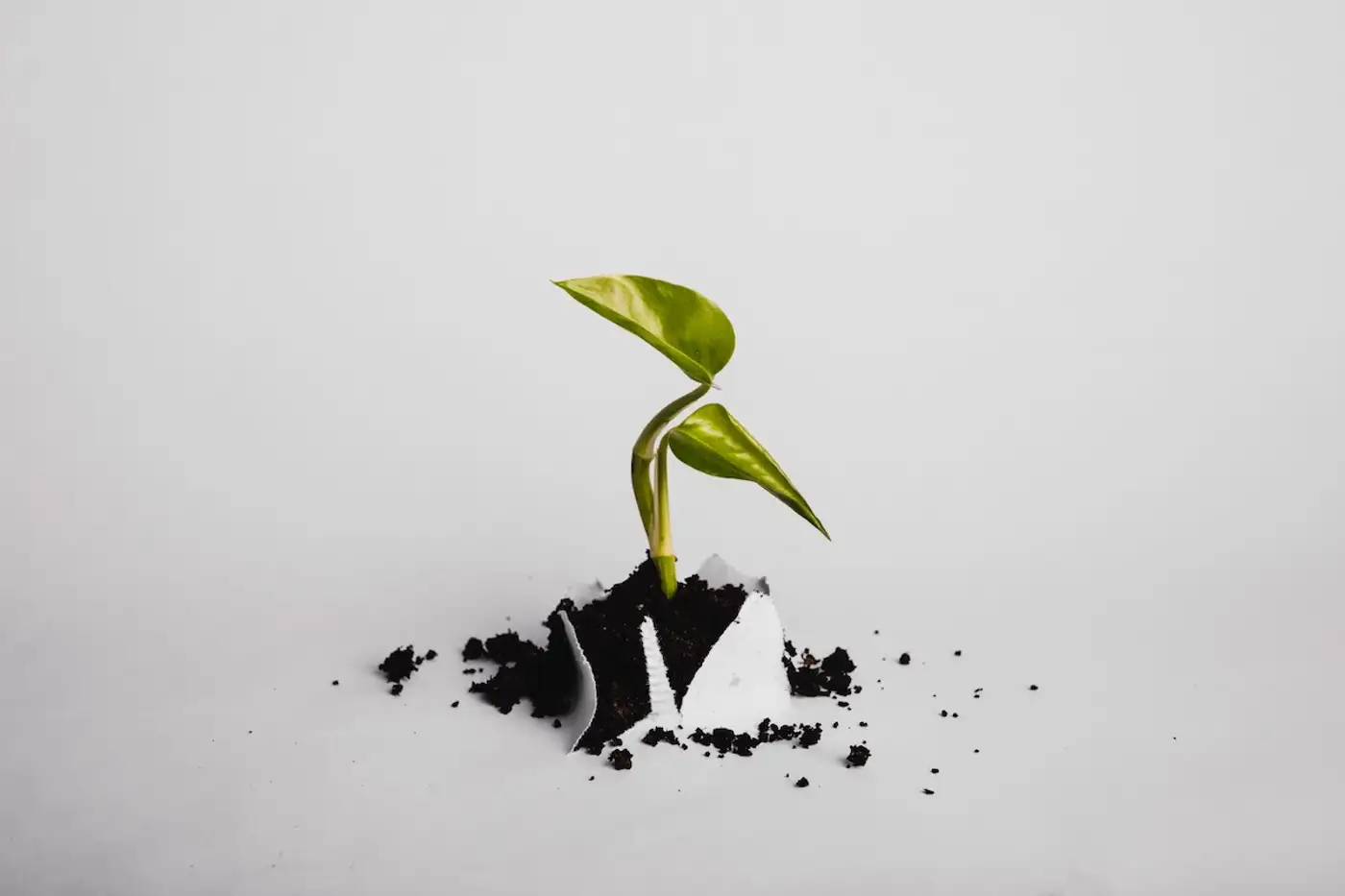 Free integrity guidance services for SMEs until end July under UK Business Integrity Initiative